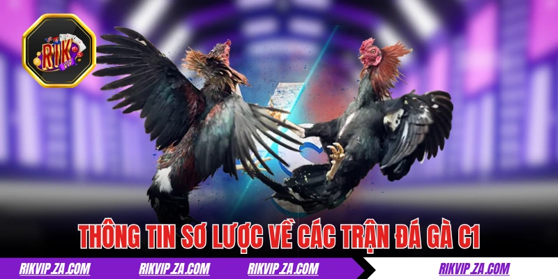 Đá Gà C1- Nơi Hội Tụ Những Chiến Kê Máu Lửa Hàng Đầu 1 Thông tin sơ lược về các trận đá gà C1