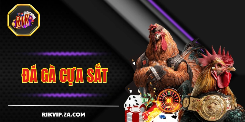 Đá Gà Cựa Sắt - Tìm Hiểu Thể Loại Chọi Kê Đậm Chất Máu Lửa