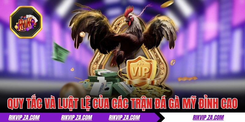 Đá Gà Mỹ - Màn Trình Diễn Giữa Các Chiến Kê Đỉnh Cao 3 Quy tắc và luật lệ của các trận đá gà Mỹ đỉnh cao